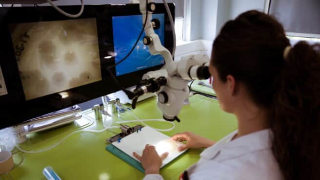 Una chica trabaja en el laboratorio Una chica trabaja en el laboratorio