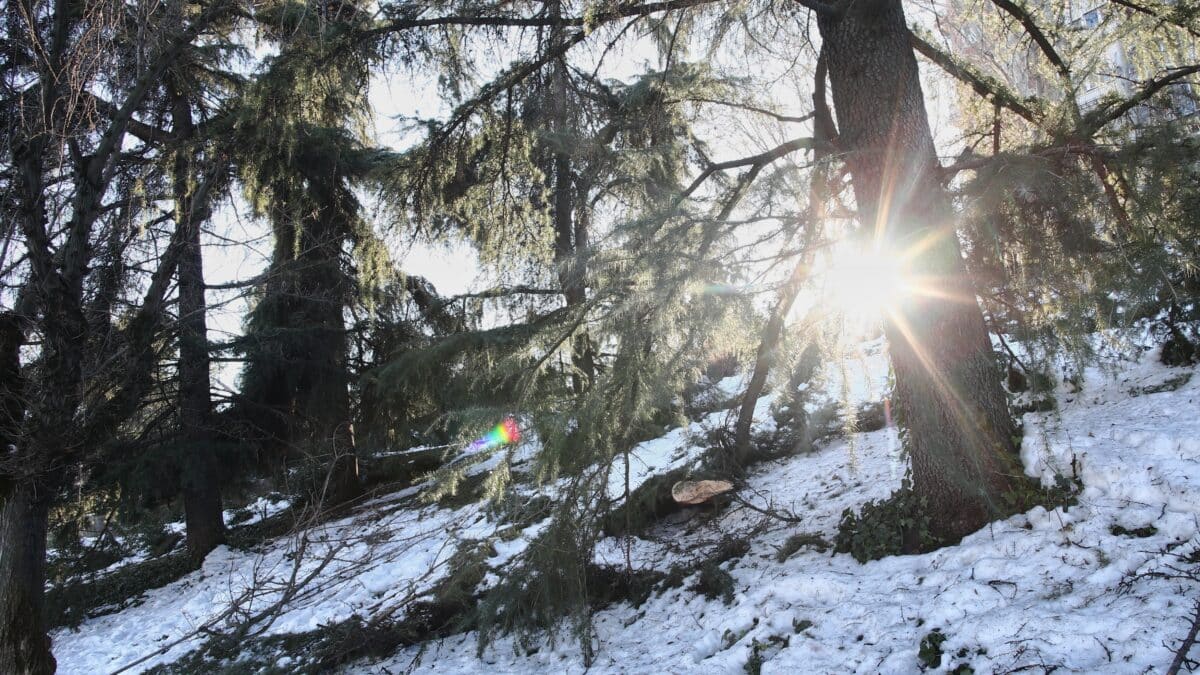 Nieve en un parque de Madrid.