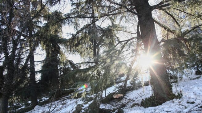 Nieve en un parque de Madrid.