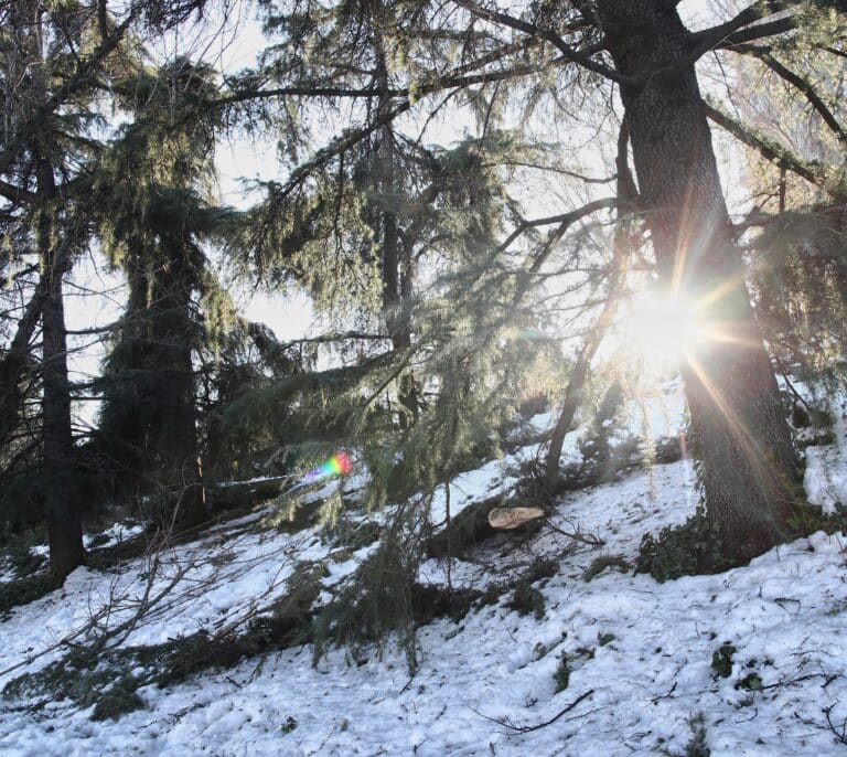 El tiempo para mañana en Madrid: más frío y la cota de nieve en los 600 metros