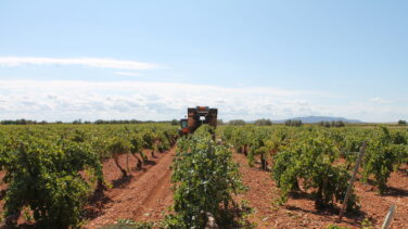 La guerra por el control del vino de Valdepeñas entre García Carrión y Félix Solís: del juzgado a la televisión