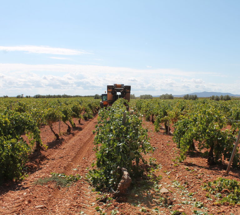 La guerra por el control del vino de Valdepeñas entre García Carrión y Félix Solís: del juzgado a la televisión