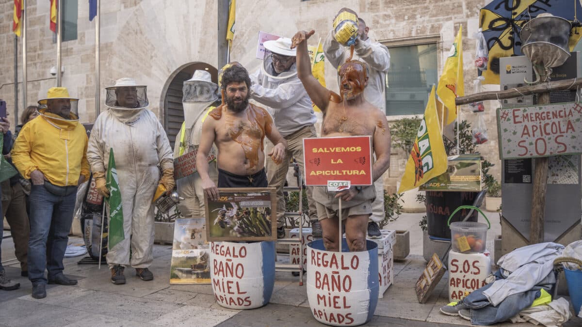 Varios apicultores echan miel a otros durante una concentración de las organizaciones profesionales agrarias del sector apícola de la Comunitat Valenciana