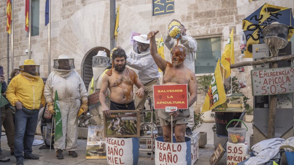 Varios apicultores echan miel a otros durante una concentración de las organizaciones profesionales agrarias del sector apícola de la Comunitat Valenciana