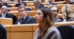 El PP cree que los errores en torno a la ley del "sí es sí" serán "el Prestige del PSOE"