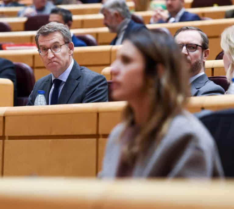El PP cree que los errores en torno a la ley del "sí es sí" serán "el Prestige del PSOE"