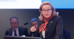 Calviño defiende un "riguroso sistema de control y transparencia" del Gobierno en la gestión de fondos europeos
