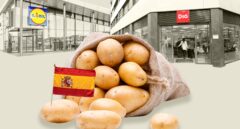 La guerra de la patata enfrenta al campo con los supermercados: "Venden un Seat como si fuera un Mercedes"