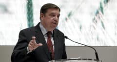 Planas cree que el IPC de los alimentos "ha tocado techo"