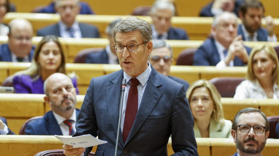 MADRID, 21/02/2023.- El líder del PP, Alberto Núñez Feijóo, interviene en la sesión de control que celebra el pleno del Senado este martes. EFE/ Mariscal