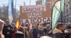 La manifestación contra la 'ley mordaza' se acuerda del 'caso Mediador': "¡Que te vote Tito Berni!"