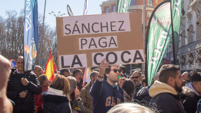 Manifestación contra la reforma de la Ley de Seguridad Ciudadana.