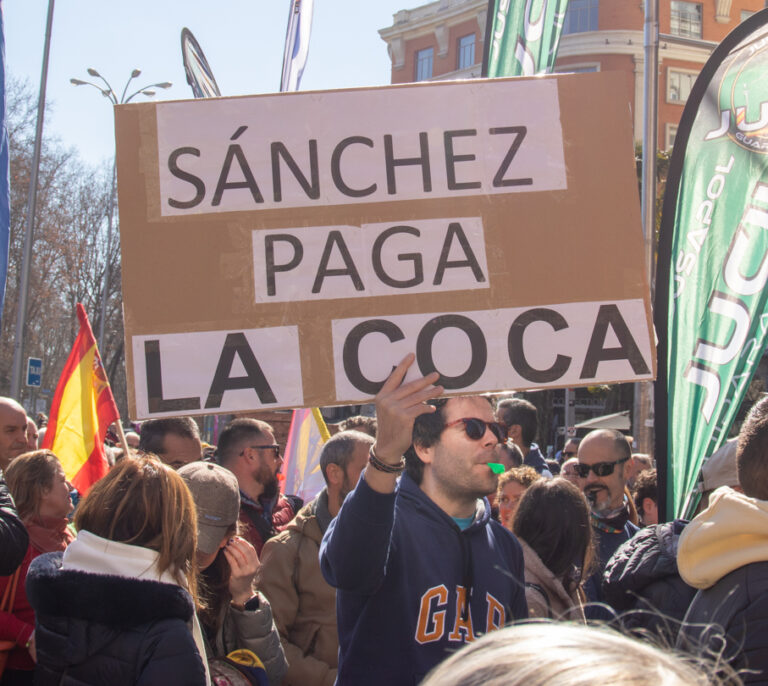 La manifestación contra la 'ley mordaza' se acuerda del 'caso Mediador': "¡Que te vote Tito Berni!"