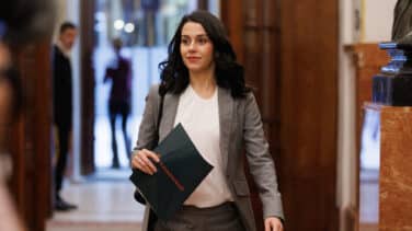 Ciudadanos registra en el Congreso una proposición para regular la gestación subrogada