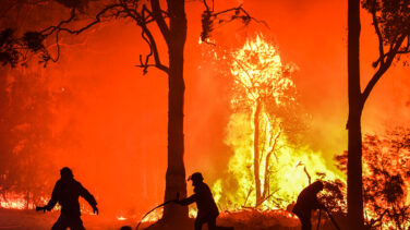 El humo de los incendios forestales reduce la capa de ozono