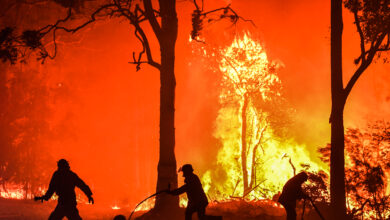 El humo de los incendios forestales reduce la capa de ozono