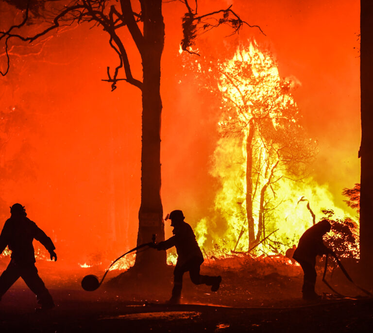 El humo de los incendios forestales reduce la capa de ozono