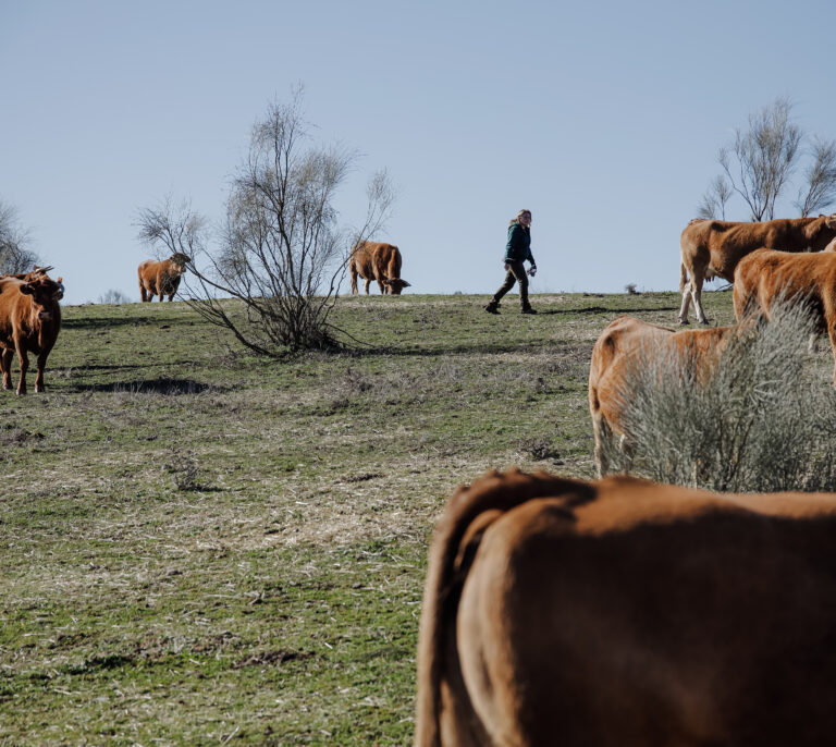 El precio de los productos básicos del campo se dispara un 60% pese a los 850 millones en ayudas del Gobierno