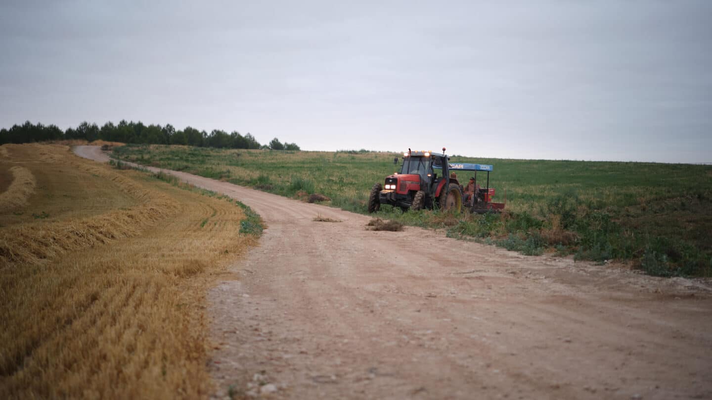 Un tractor durante la recogida del ajo morado en Cuenca, Castilla La-Mancha (España).
