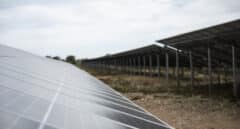 El auge de la instalación de placas solares dispara la creación de empresas constructoras