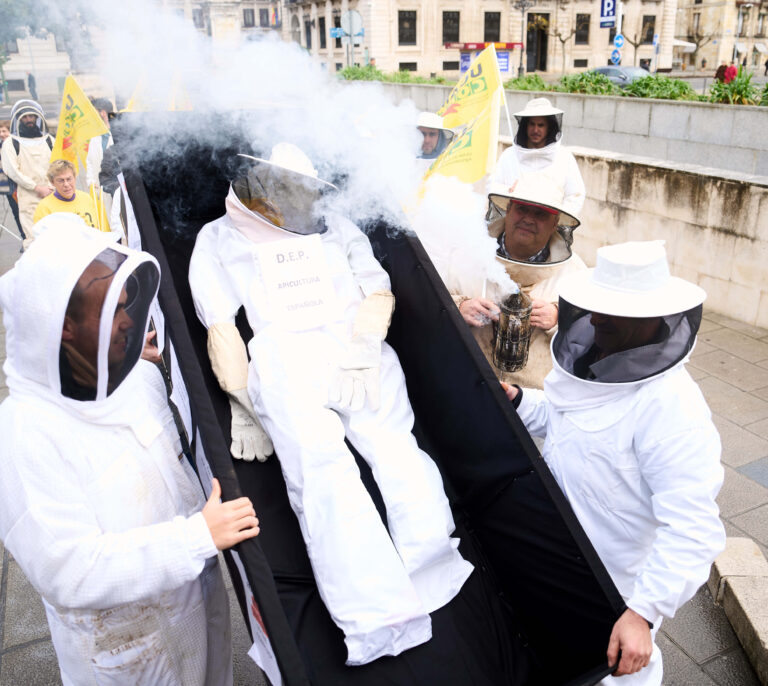 La rebelión de los apicultores: "Mucha biodiversidad y después nos dejan morir"