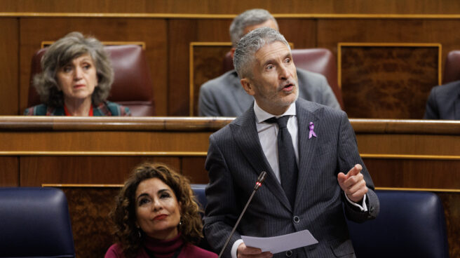 Fernando Grande-Marlaska, en el Congreso.