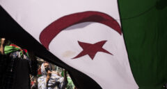 Por qué las banderas de Palestina y el Sáhara Occidental se parecen tanto