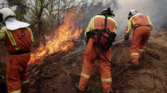 Bomberos de Asturias treabajan en el incendio de los concejos de Valdes y Tineo, a 30 de marzo de 2023, en Asturias (España).
