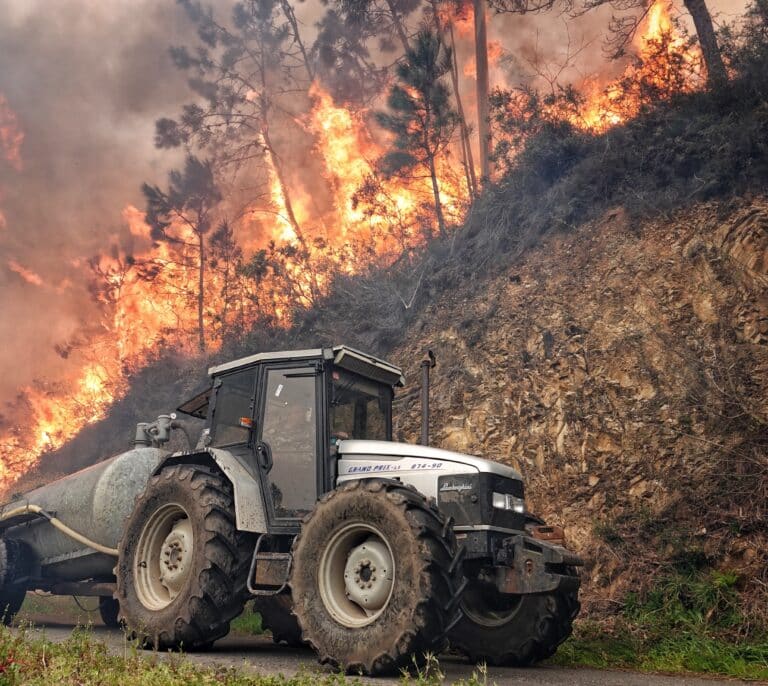 Ni terroristas, ni pirómanos: "Cuñadez de políticos, los incendios se apagan en los presupuestos"