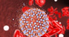 La eliminación de la hepatitis C en España pasa por la colaboración y la implantación de estrategias de diagnóstico integral