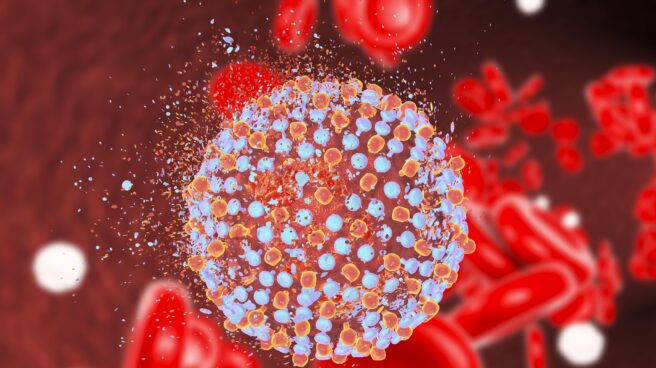 La eliminación de la hepatitis C en España pasa por la colaboración y la implantación de estrategias de diagnóstico integral Hepatitis C