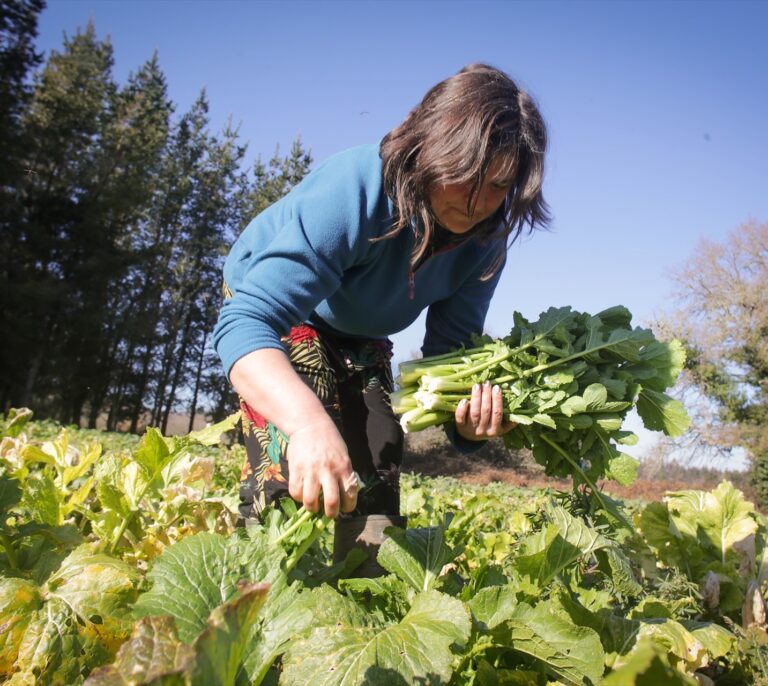 Febrero destruyó 9.000 puestos de trabajo cada viernes