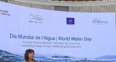 El Govern salva in extremis el decreto de sequía con Cataluña en emergencia hídrica