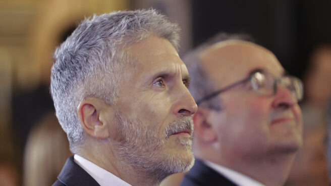 El ministro del Interior, Fernando Grande-Marlaska (Efe). El ministro del Interior, Fernando Grande-Marlaska (Efe).