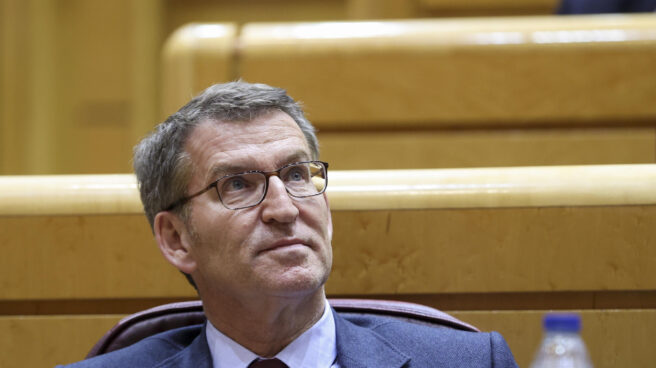 Alberto Núñez Feijóo, que lidera las encuestas al frente del PP, en el Senado. Alberto Núñez Feijóo, que lidera las encuestas al frente del PP, en el Senado.
