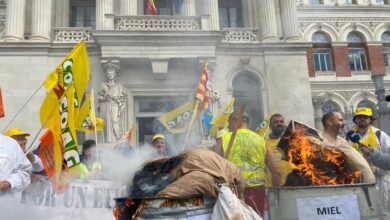 Agricultura descarta más medidas para los apicultores pese a las protestas