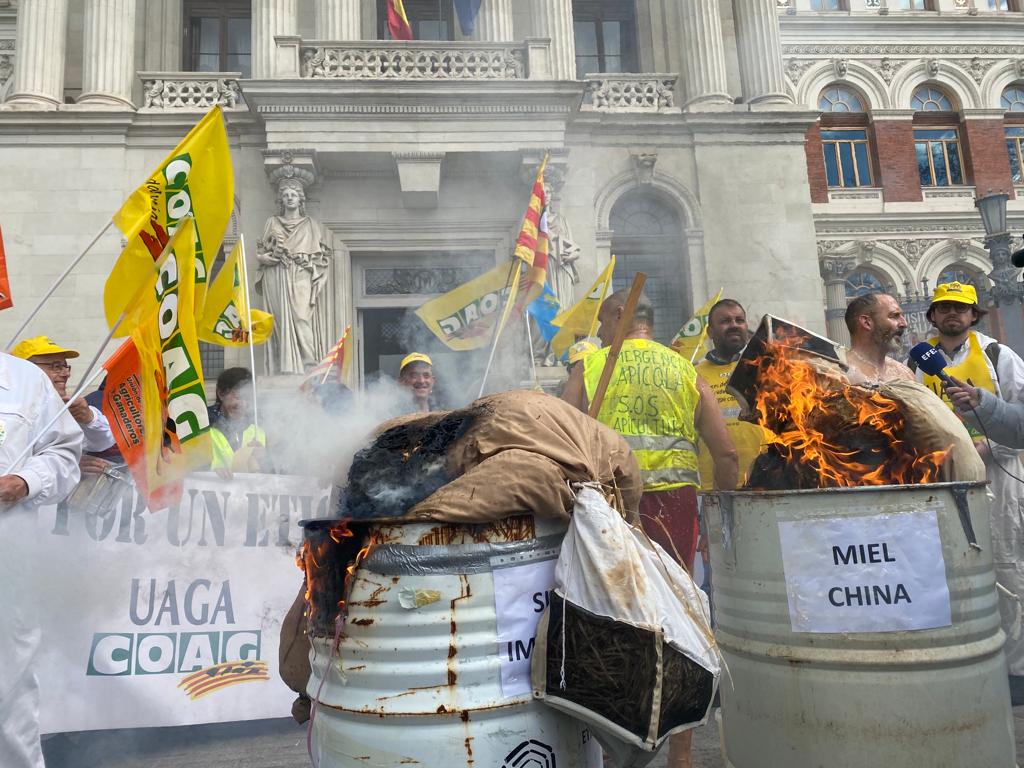 Los manifestantes queman muñecos de apicultores frente al Ministerio de Agricultura