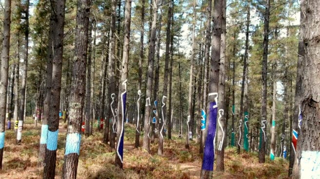 El 'Bosque de Oma' de Agustín Ibarrola. El 'Bosque de Oma' de Agustín Ibarrola.