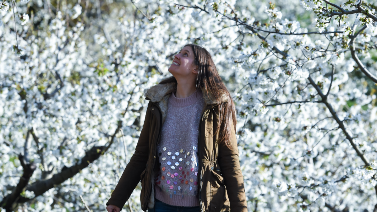 Cerezos en flor cuando empieza la primavera 2023