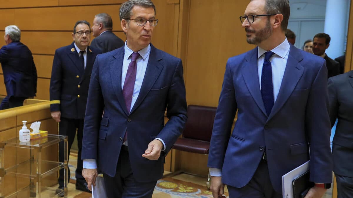 El líder del PP, Alberto Núñez Feijóo, este martes en el Senado.