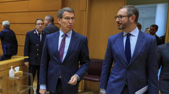 El líder del PP, Alberto Núñez Feijóo, este martes en el Senado.