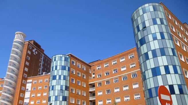 Ingresada una mujer en Bilbao tras ser quemada por su expareja Hospital de Cruces