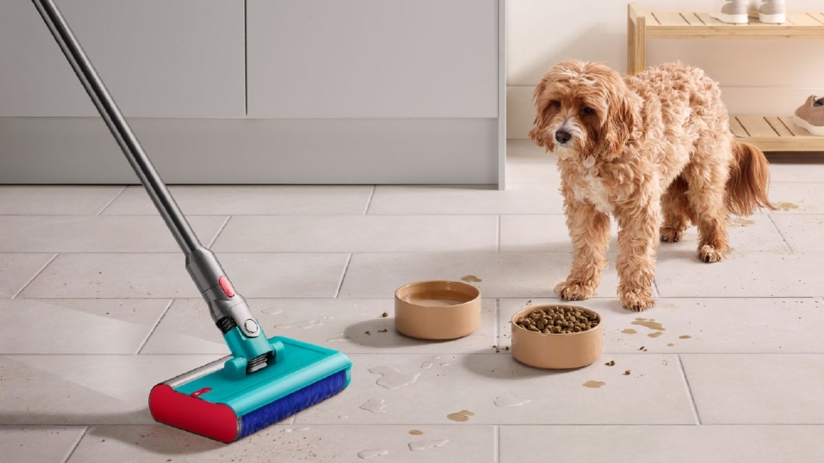 Aspiradora Dyson limpiando la suciedad de un perro
