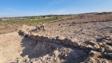 Encuentran en Loma Eugenia (Albacete) nuevas evidencias de la producción agraria visigoda
