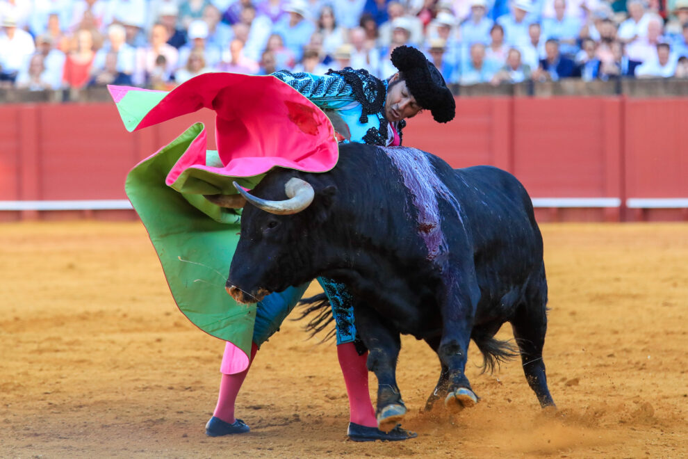 El torero Morante de la Puebla en la faena a su segundo toro al que cortó dos orejas y rabo en la décima corrida de abono de la Feria de Abril esta tarde en la plaza de la Real Maestranza de Sevilla. 