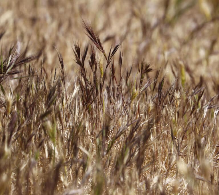 El cambio climático pone en jaque a la economía española