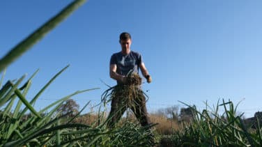 SOS Rural: el grito de socorro de 500 asociaciones ante la "asfixia" política al sector primario