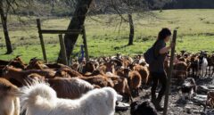 El atasco de la nueva PAC: "Hay cosas en las que tardábamos dos horas y ahora seis"