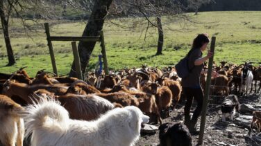 El atasco de la nueva PAC: "Hay cosas en las que tardábamos dos horas y ahora seis"