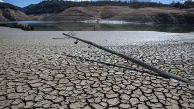 Cataluña prohibirá el riego agrícola y de usos recreativos en septiembre si no llueve